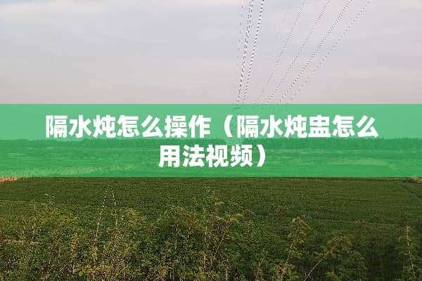 隔水炖怎么操作（隔水炖盅怎么用法视频）
