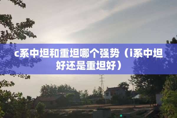c系中坦和重坦哪个强势（i系中坦好还是重坦好）