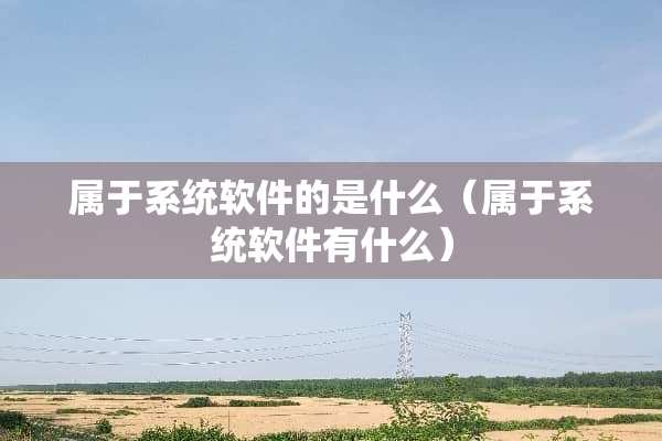 属于系统软件的是什么（属于系统软件有什么）
