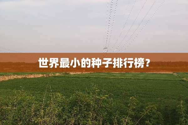 世界最小的种子排行榜？