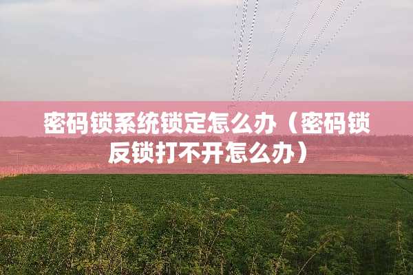 密码锁系统锁定怎么办（密码锁反锁打不开怎么办）