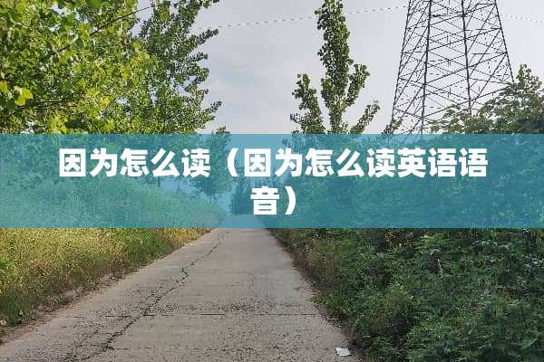 因为怎么读（因为怎么读英语语音）