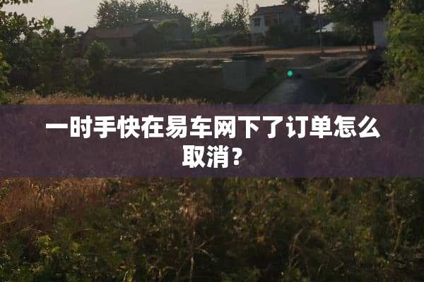 一时手快在易车网下了订单怎么取消？