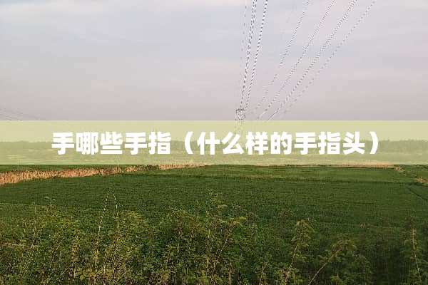 手哪些手指（什么样的手指头）