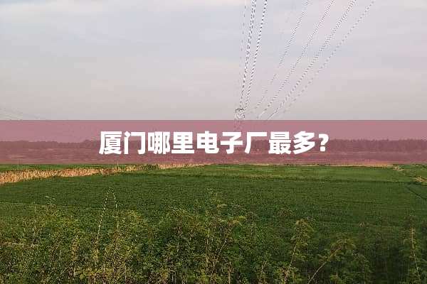 厦门哪里电子厂最多？
