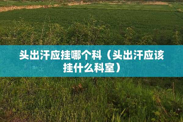 头出汗应挂哪个科（头出汗应该挂什么科室）