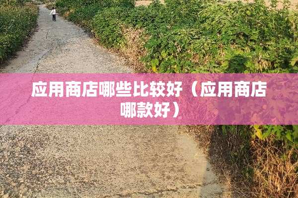应用商店哪些比较好（应用商店哪款好）