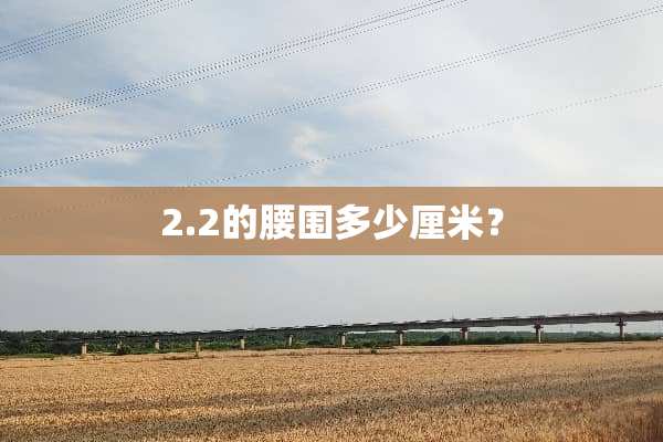 2.2的腰围多少厘米？