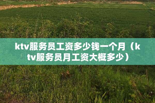 ktv服务员工资多少钱一个月（ktv服务员月工资大概多少）