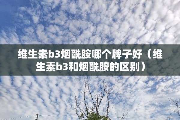 维生素b3烟酰胺哪个牌子好（维生素b3和烟酰胺的区别）