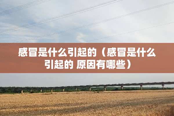 感冒是什么引起的（感冒是什么引起的 原因有哪些）