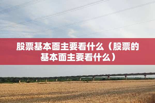 股票基本面主要看什么（股票的基本面主要看什么）
