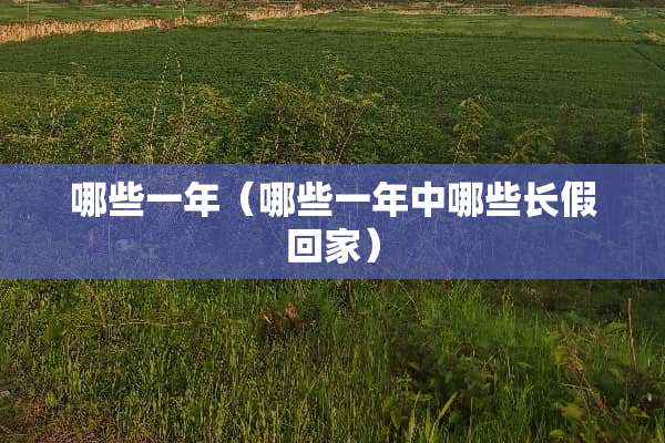 哪些一年（哪些一年中哪些长假回家）
