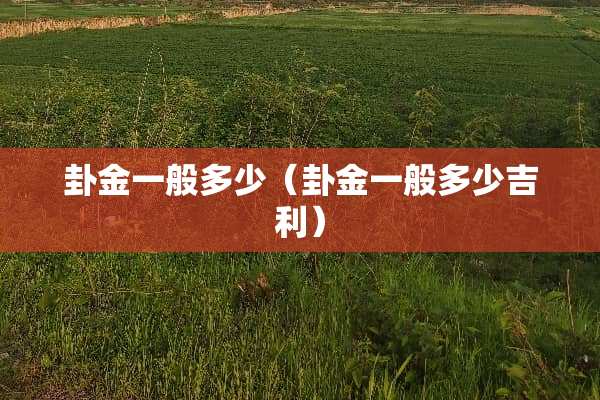 卦金一般多少（卦金一般多少吉利）