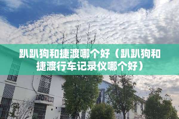 趴趴狗和捷渡哪个好（趴趴狗和捷渡行车记录仪哪个好）