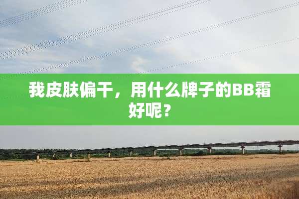 我皮肤偏干，用什么牌子的BB霜好呢？