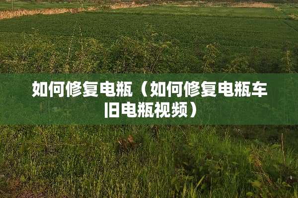 如何修复电瓶（如何修复电瓶车旧电瓶视频）