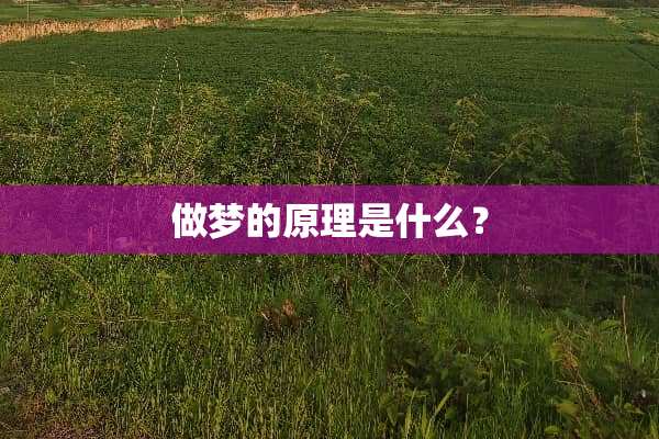 做梦的原理是什么？