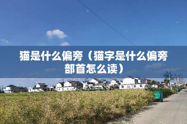 猫是什么偏旁（猫字是什么偏旁部首怎么读）