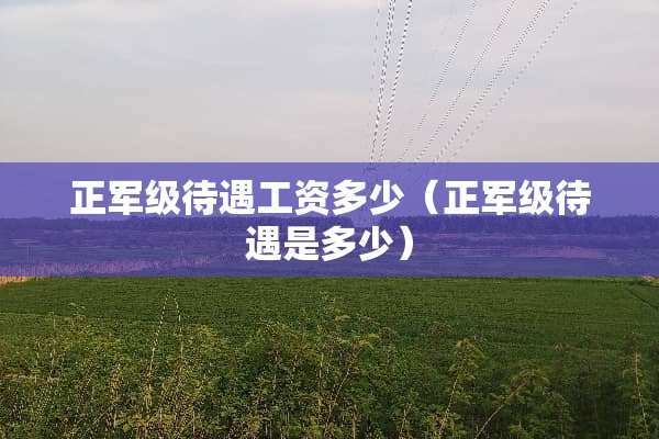 正军级待遇工资多少（正军级待遇是多少）