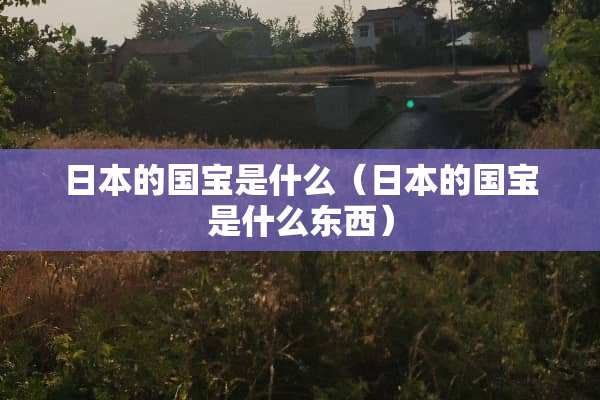 日本的国宝是什么（日本的国宝是什么东西）