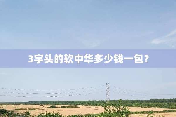 3字头的软中华多少钱一包？