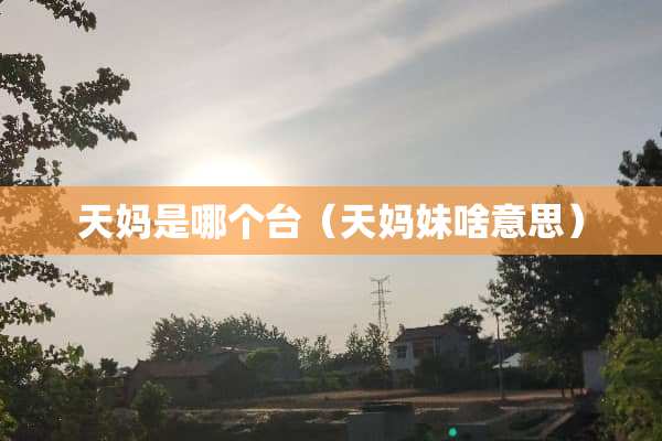 天妈是哪个台（天妈妹啥意思）