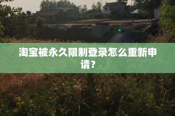淘宝被永久限制登录怎么重新申请？