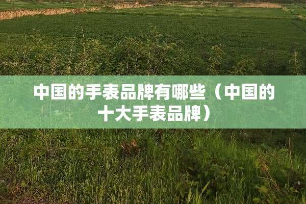 中国的手表品牌有哪些（中国的十大手表品牌）