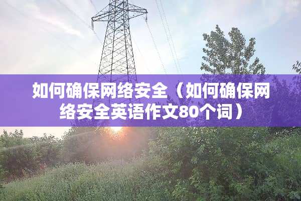 如何确保网络安全（如何确保网络安全英语作文80个词）