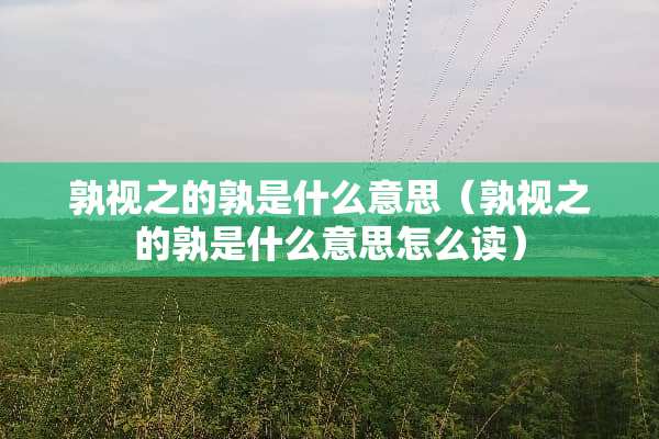 孰视之的孰是什么意思（孰视之的孰是什么意思怎么读）