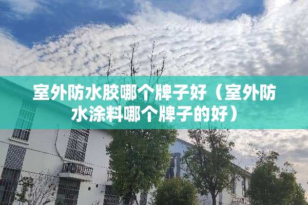 室外防水胶哪个牌子好（室外防水涂料哪个牌子的好）
