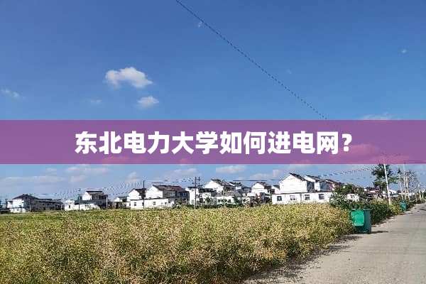 东北电力大学如何进电网？