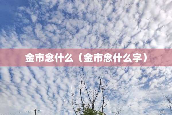 金市念什么（金市念什么字）