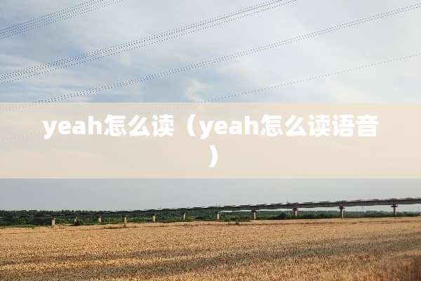 yeah怎么读（yeah怎么读语音）