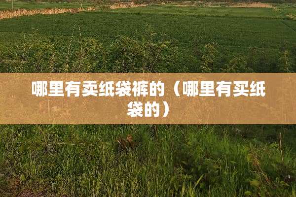 哪里有卖纸袋裤的（哪里有买纸袋的）
