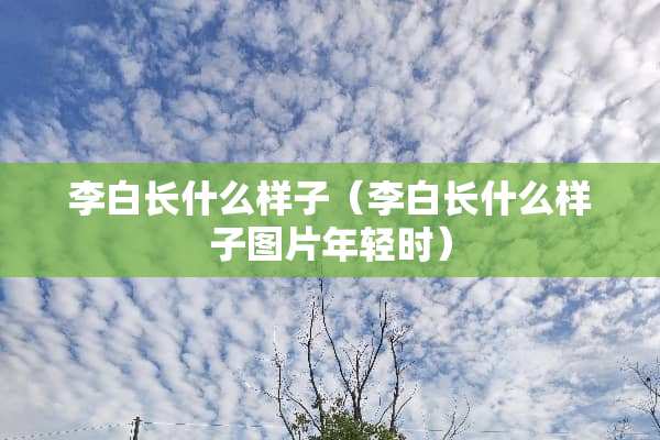 李白长什么样子（李白长什么样子图片年轻时）
