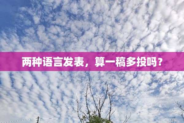 两种语言发表，算一稿多投吗？