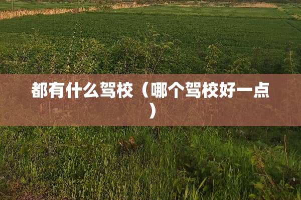 都有什么驾校（哪个驾校好一点）