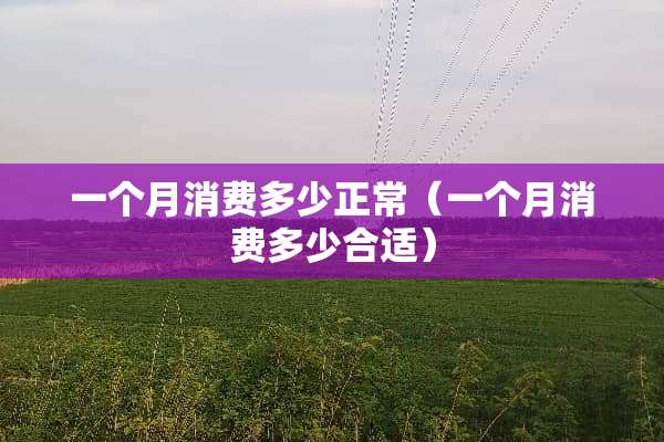一个月消费多少正常（一个月消费多少合适）