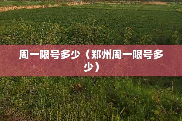周一限号多少（郑州周一限号多少）