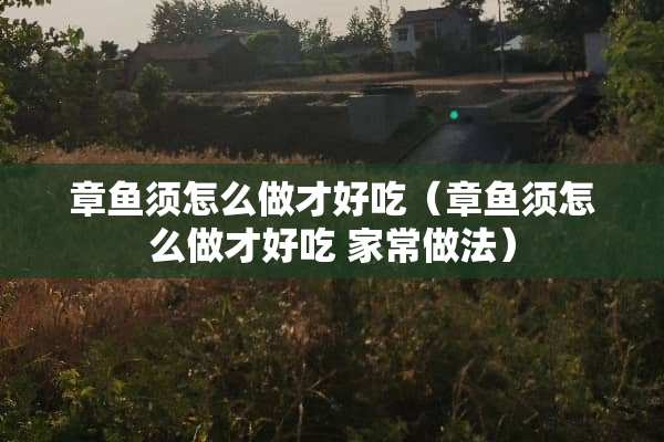 章鱼须怎么做才好吃（章鱼须怎么做才好吃 家常做法）