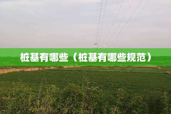 桩基有哪些（桩基有哪些规范）