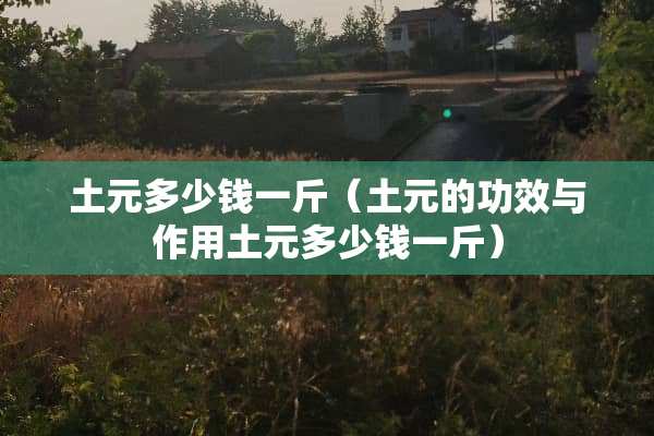 土元多少钱一斤（土元的功效与作用土元多少钱一斤）