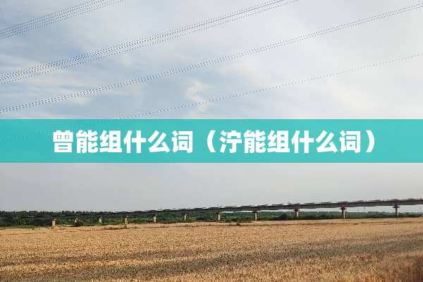 曾能组什么词（泞能组什么词）