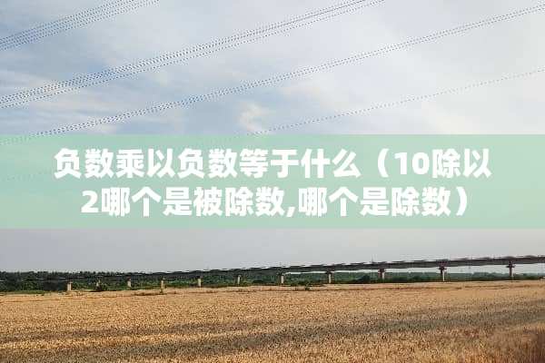 负数乘以负数等于什么（10除以2哪个是被除数,哪个是除数）