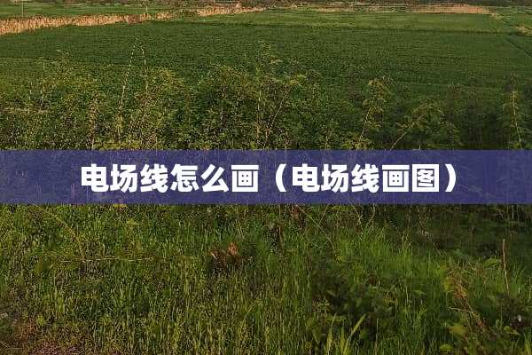 电场线怎么画（电场线画图）