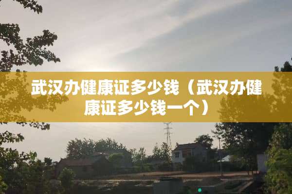 武汉办健康证多少钱（武汉办健康证多少钱一个）