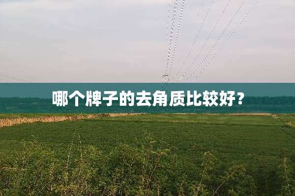 哪个牌子的去角质比较好？