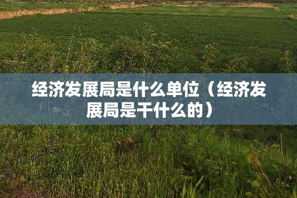 经济发展局是什么单位（经济发展局是干什么的）